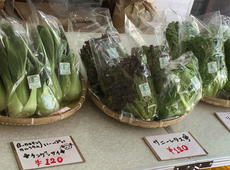 朝採れ野菜入荷しました☆のイメージ